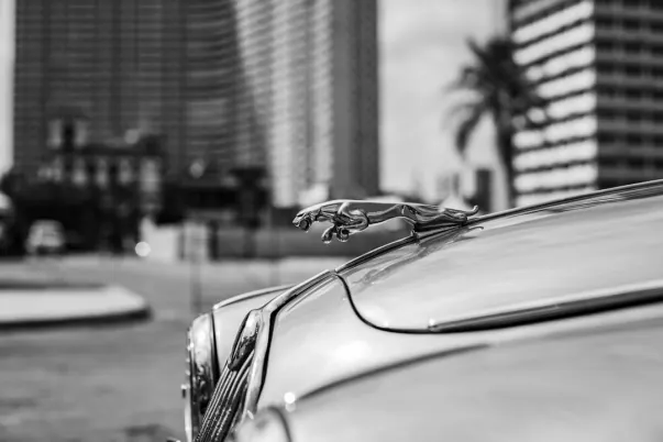 ΩαγερΩεβ Καζίνο Εφαρμογή Android/iOS